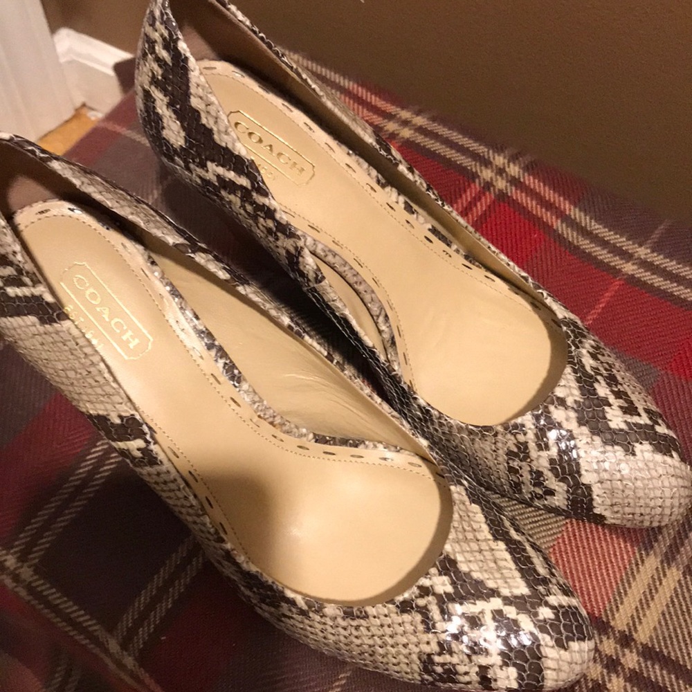 Coach Snake Print Wedge - image 4